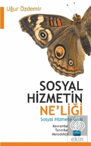 Sosyal Hizmetin Ne'liği - Sosyal Hizmete Giriş