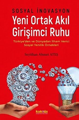 Sosyal İnovasyon Yeni Ortak Akıl Girişimci Ruhu