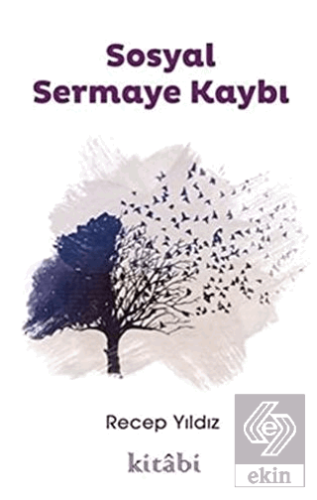 Sosyal Sermaye Kaybı