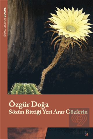 Sözün Bittiği Yeri Arar Gözlerin