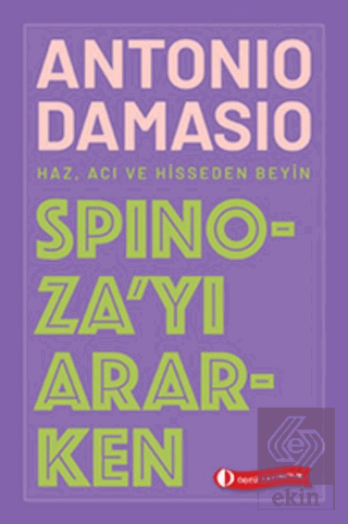 Spinoza\'yı Ararken