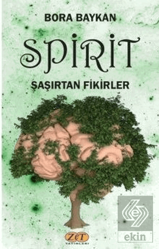 Spirit Şaşırtan Fikirler