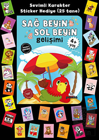 Stickerlı 4+ Yaş Sağ Beyin Sol Beyin Gelişim