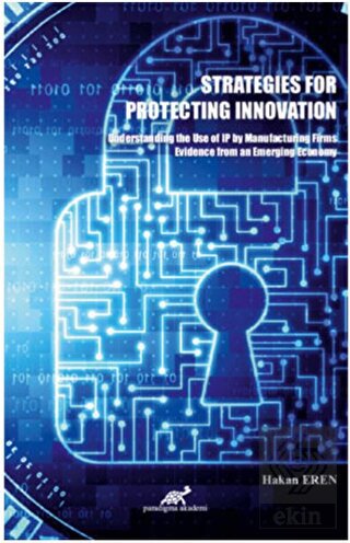 Strategies For Protecting Innovation