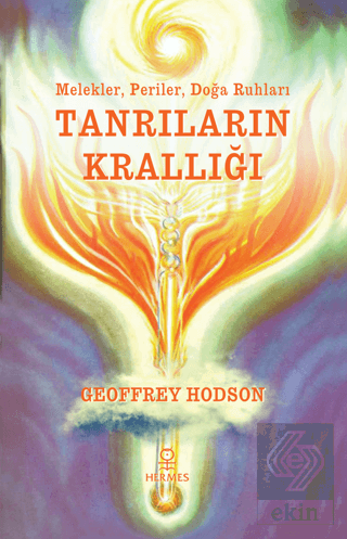 Tanrıların Krallığı