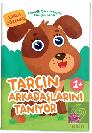 Tarçın Arkadaşlarını Tanıyor