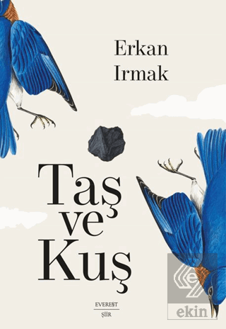 Taş ve Kuş