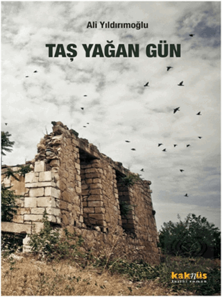 Taş Yağan Gün