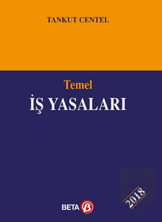 Temel İş Yasaları