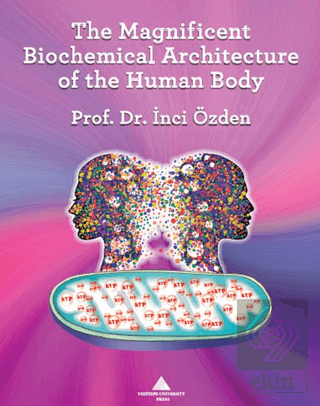 The Magnificent Biochemical Architecture of the Hu