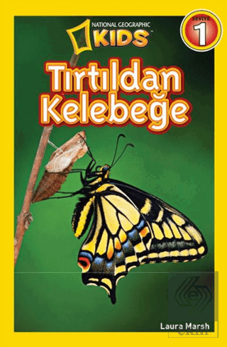 Tırtıldan Kelebeğe