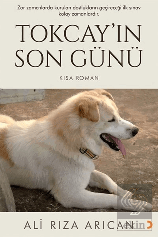 Tokcay\'ın Son Günü