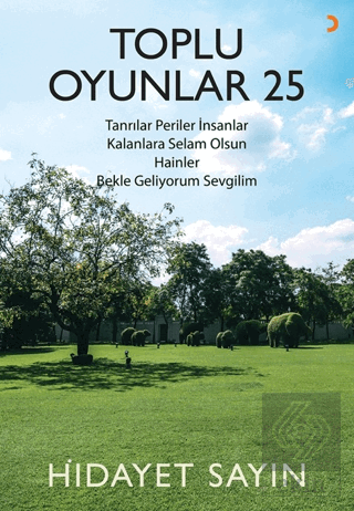 Toplu Oyunlar 25