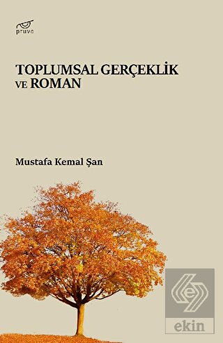 Toplumsal Gerçeklik ve Roman