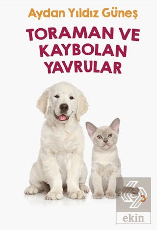 Toraman ve Kaybolan Yavrular