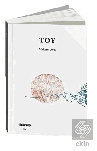 Toy