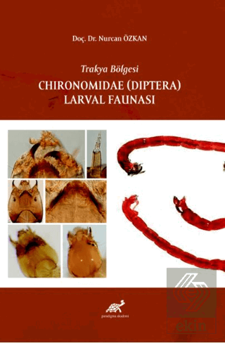 Trakya Bölgesi Chironomidae (Diptera) Larval Fauna