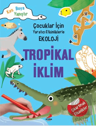 Tropikal İklim - Çocuklar İçin Yaratıcı Etkinlikle