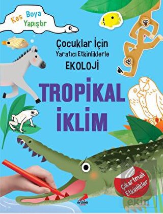 Tropikal İklim - Çocuklar İçin Yaratıcı Etkinlikle