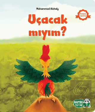 Uçacak mıyım?