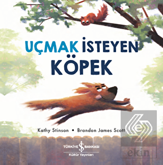 Uçmak İsteyen Köpek