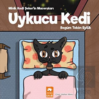 Uykucu Kedi