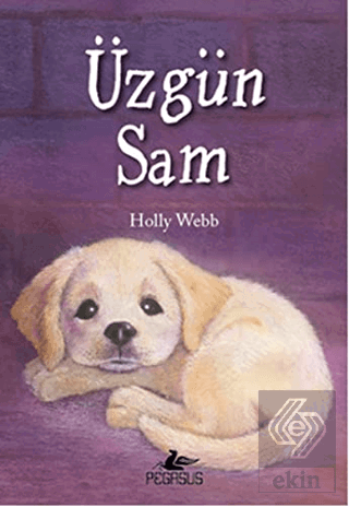 Üzgün Sam