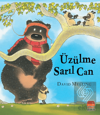 Üzülme Sarıl Can