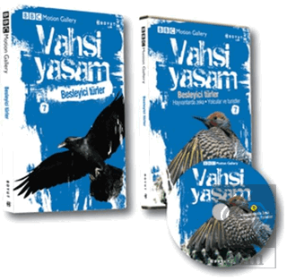 Vahşi Yaşam 2 - Besleyici Türler