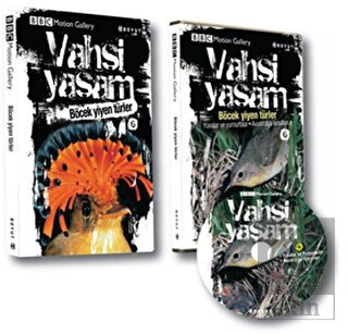 Vahşi Yaşam 2 - Böcek Yiyen Türler