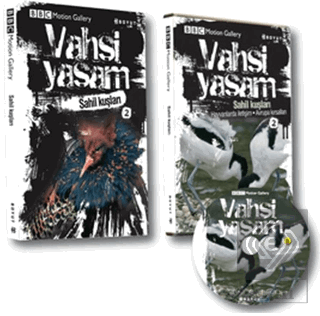 Vahşi Yaşam 2 - Sahil Kuşları