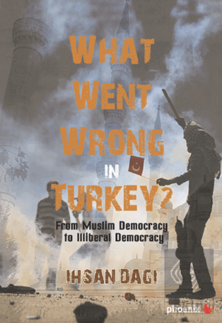 What Went Wrong in Turkey?