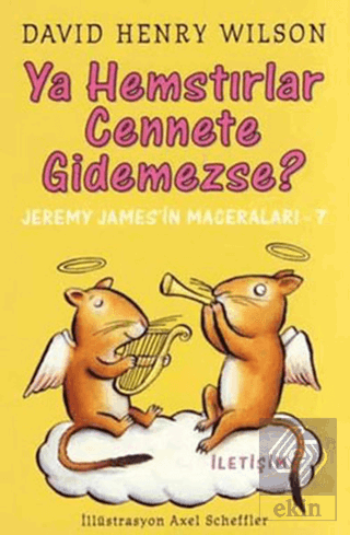 Ya Hemstırlar Cennete Gidemezse?