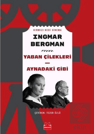 Yaban Çilekleri - Aynadaki Gibi