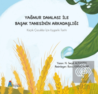 Yağmur Damlası İle Başak Tanesinin Arkadaşlığı Küç