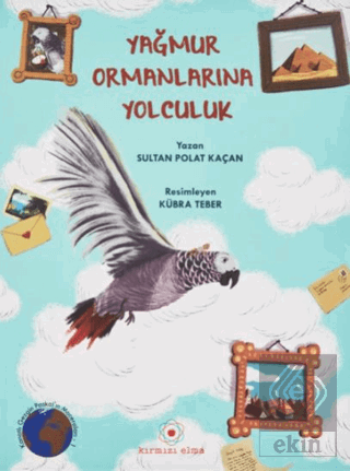 Yağmur Ormanlarına Yolculuk