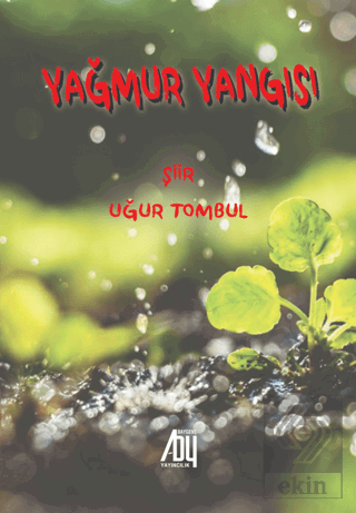 Yağmur Yangısı