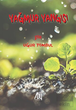 Yağmur Yangısı