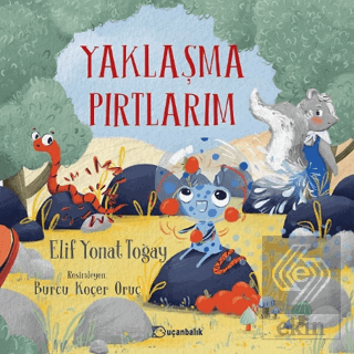 Yaklaşma Pırtlarım