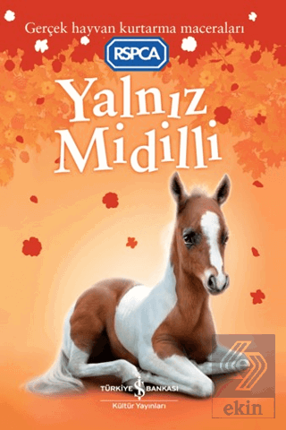 Yalnız Midilli