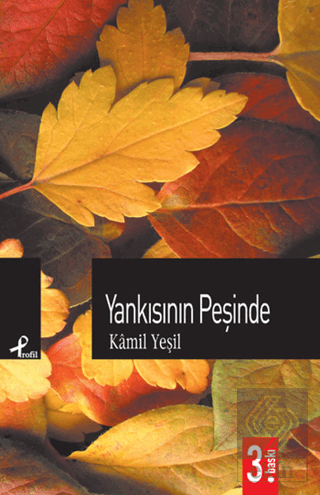 Yankısının Peşinde