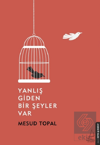 Yanlış Giden Bir Şeyler Var