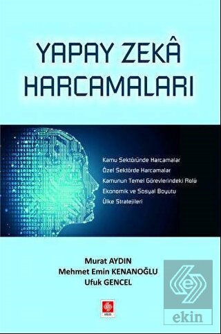 Yapay Zeka Harcamaları Murat Aydın