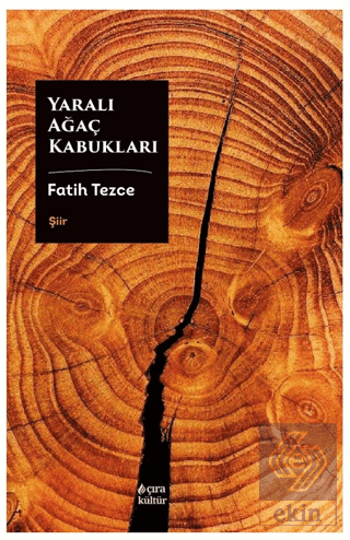 Yaralı Ağaç Kabukları