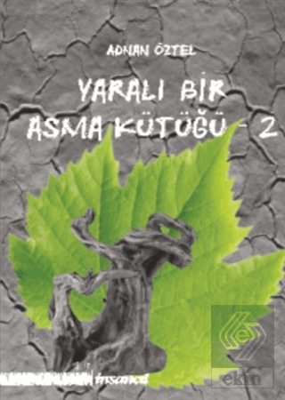 Yaralı Bir Asma Kütüğü - 2