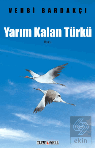 Yarım Kalan Türkü