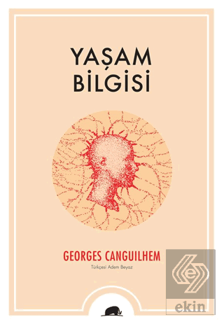 Yaşam Bilgisi