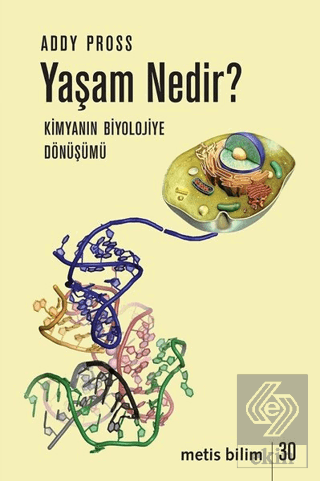 Yaşam Nedir?