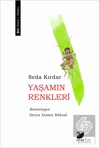 Yaşamın Renkleri