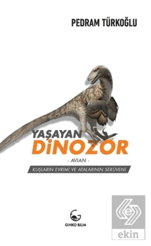 Yaşayan Dinozor - Avian